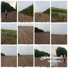  1 الحديده مفرق الصليف منطقة الحمره 50 معاد