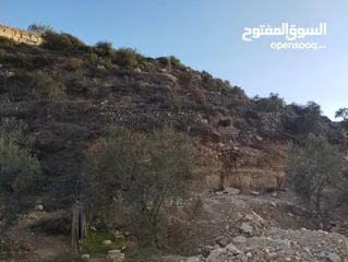  6 أرض للبيع للاستثمار بسعر مغري كثيييير