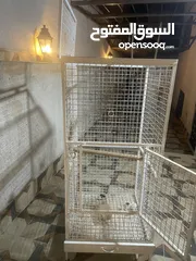  6 قفص كاسكو و قفص مكاو