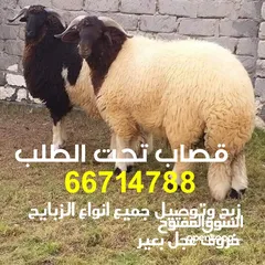  2 قصاب تحت الطلب الكويت