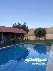  20 مزرعه شم النسيم في بيرين