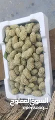  8 يوجد توت ابيض اسود