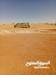  10 قطع اراضي في رحاب