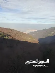  3 مطلوب بيت يصلح للسكن يتكون من طاقين او ثلاث