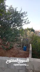  4 بيت مستقل طابقين