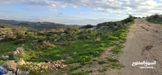  12 دونم ارض طابوا فلسطيني منطقة (B)بالقرب من دوار كفرصور جميع الخدمات فيها عليها شارع 12متر موقع مميز