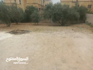  5 قطعت ارض 220