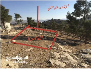  1 ارض للبيع  عمان شارع الاردن تقاطع شارع الاردن مع شارع عمان-جرش  الرئيسي ملاصقه لغابات وصفي التل