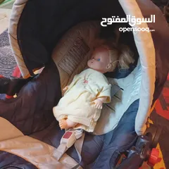  6 كاسيت شيكو  Shicoo للبيع