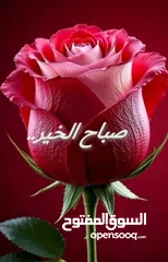  1 مطلوب غرفة للإيجار