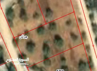  1 قطعة ارض للبيع  ( Property 43244 )-174893994