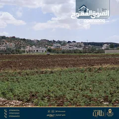  14 أرض مميزة للبيع بمساحة 500 م وبمحاذاة شارع مادبا الغربي - أراضي ناعور