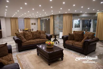  19 شقة مفروشة فاخرة بتصميم عصري اعلان رقم (L100)