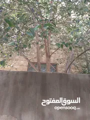  1 منزل مستقل بمنطقه هاديه واثريه وموقع مميز