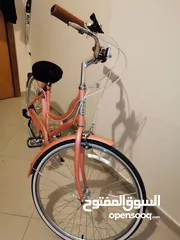  2 Female bicycle spartan