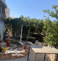  8 بيت مستقل للبيع