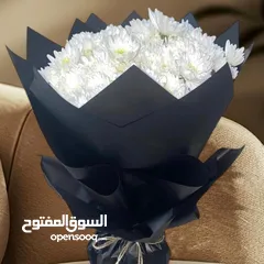  28 زهور الياسمين