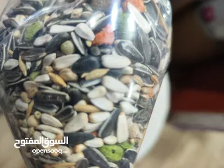  1 خلطة لكل انواع الطيور كمكل غذائي يومي لإستكمال الاملاح والمعادن والمواد المغذية الضرورية لصحة الطير