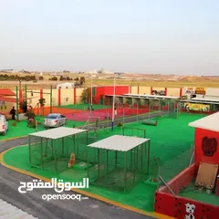  27 كلاب جيرمن شيبرد وجولدن ريتريفر مدربين وغير مدربين