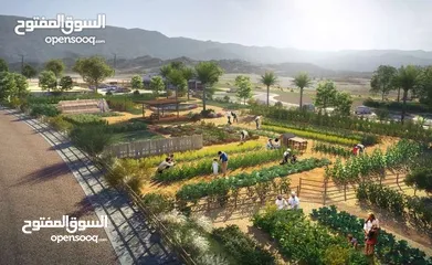  14 مزرعة بأفضل سعر في منتجع جبل السيفة  Farm at the best price in Jabal Sifah Resort