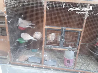  1 حمام ياكريم للبيع