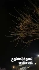  5 جنط فيزون 16 للبيع