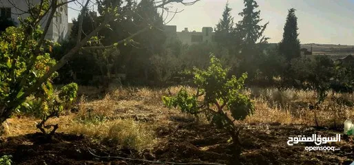  2 أرض للبيع -الكرك-مؤته