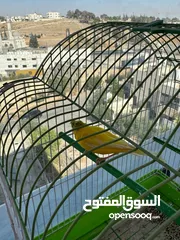  10 كناري 3 فحوله صوت نار  مع جميع اغراضهم