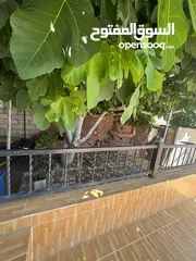  2 بيت مستقل للايجار