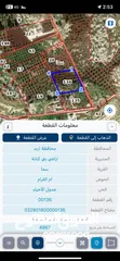  1 قطعة ارض 5 دونم للبيع في سما الروسان