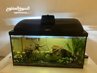  1 Fish tank with full equipment