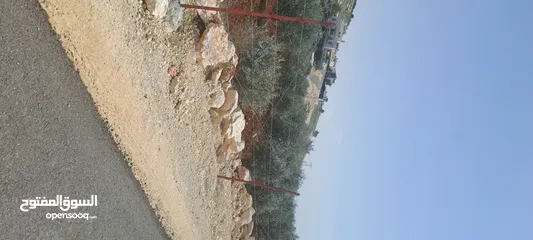  8 ارض للبيع ناعور الجديده حوض البويضه بالقرب من مدارس الجاليات ومدرسه ايبك قطعه سكنيه للفلل