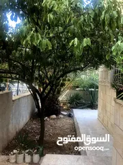  3 ارضي في شارع الاقصى مع حديقة للبيع