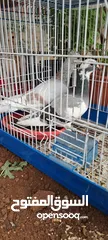  2 الرجاء قرأت الوصف