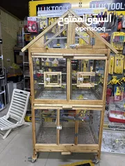  1 عصافير كنار وكوكتيل