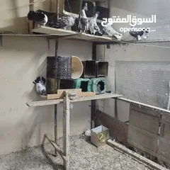  10 حمام للبيع