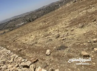  9 من أجمل إطلالات نادره منطقة مزارع