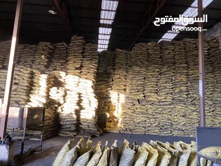  1 فحم مشاوي نيجيري