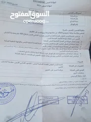  5 اسكودا انو.  محولي رمش بل كامل