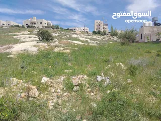  6 دنم و 44 م مقابل مضافة الدرادكة دنم ب القمة عالي