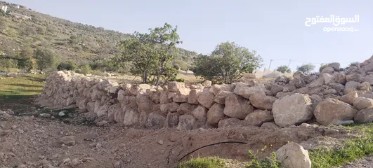  4 العالوك بيرين