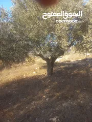  4 أرض للبيع للبناء مساحة 670 متر مربع مرتفعة ومطلة وقريبة من جامعة بير زيت