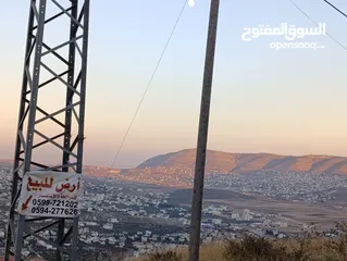  7 ارض  للبيع