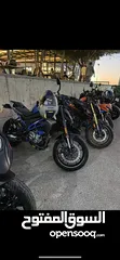  6 Cf moto 300nk 2023