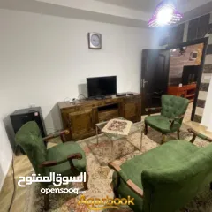  2 شقة مفروشة للايجار في عين منجد