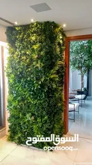  7 جمال الزرع المعلق الـ Green Wall  علي الحائط يستخدم في العديد من الامكان