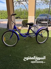  3 3 Wheel Adult Bike دراجة ب3 عجلات