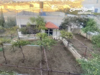  2 ارض مع بناء قائم