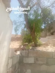  5 ارض +منزل وارض مزروعه اكثر من نوع شجر ونبات فيها منزلين وكراج سياره مع البيت ايضا وع شارع للبيع كامل