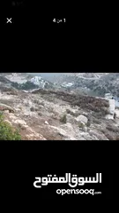  3 ارض جبلية مطلة للبيع عيصى _خلة حجة